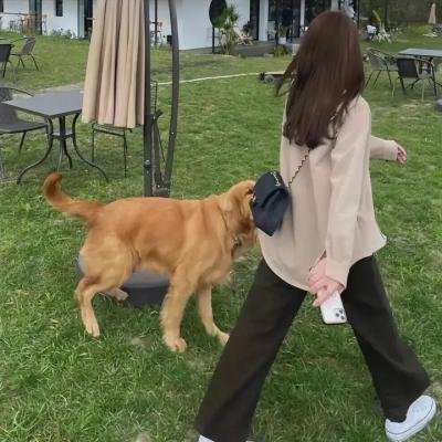 烈燄红颜
